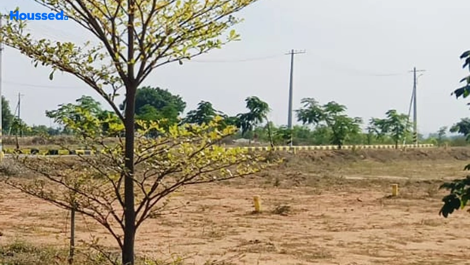 Project Image of Housing Plot/Residential Land for Resale in Shadnagar - Image 180415