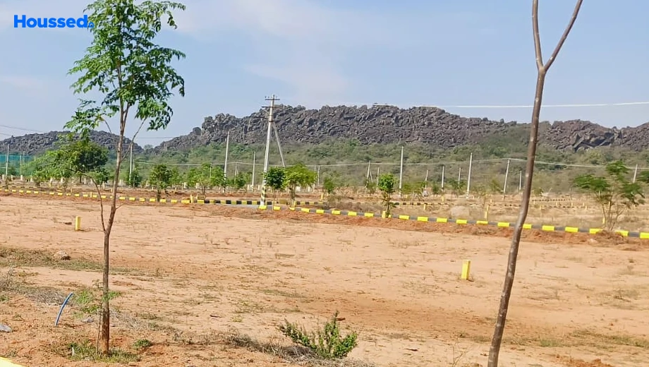 Project Image of Housing Plot/Residential Land for Resale in Shadnagar - Image 180416