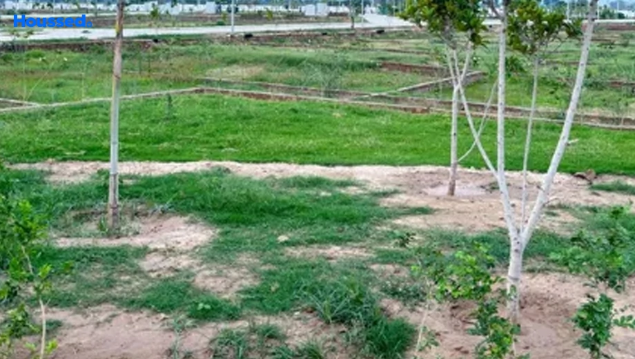 Project Image of Housing Plot/Residential Land for Resale in Panchkula - Image 180732