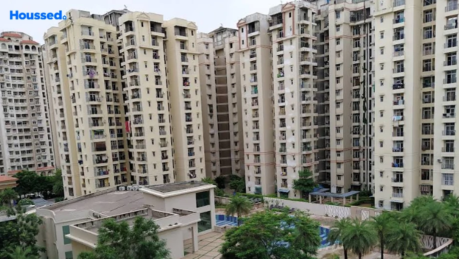 Project Image of 2 BHK Flat for Resale in Amrapali Princely Estate, Sector 76 - Image 181466