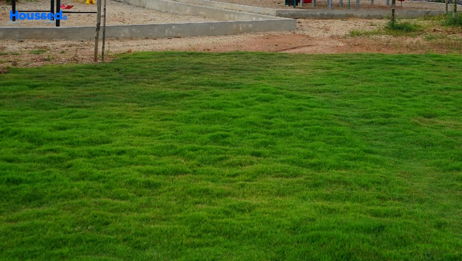 Project Image of Housing Plot/Residential Land for Resale in Cherlapally - Image 181793
