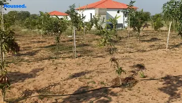 Project Image of Housing Plot/Residential Land for Resale in Patighanpur, Hyderabad - Image 181847