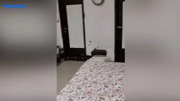 Project Image of 3 BHK Flat for Rent in Khodabhai Happy Residency Amroli, Surat - Image 182663