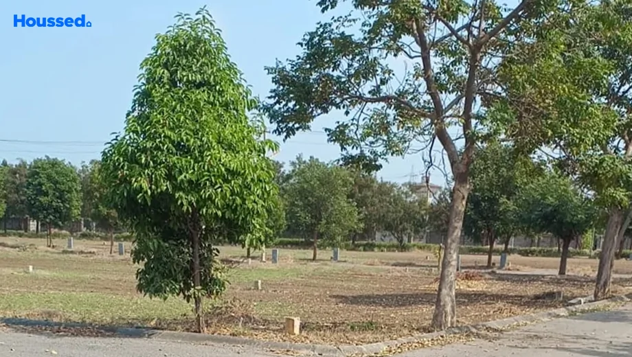 Project Image of Housing Plot/Residential Land for Resale in Sadashivpet - Image 183284
