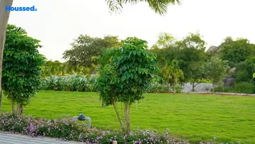 Project Image of Housing Plot/Residential Land for Resale in Kothur, Hyderabad - Image 182858