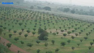 Project Image of Housing Plot/Residential Land for Resale in Kothur, Hyderabad - Image 182887