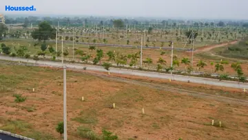 Project Image of Housing Plot/Residential Land for Resale in Mamidpally, Hyderabad - Image 182991