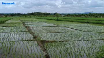 Project Image of Agriculture Land for Resale in Thaluru, Mysore - Image 183977