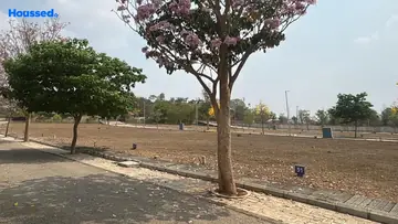 Project Image of Housing Plot/Residential Land for Resale in Vidyaranyapuram, Mysore - Image 184001