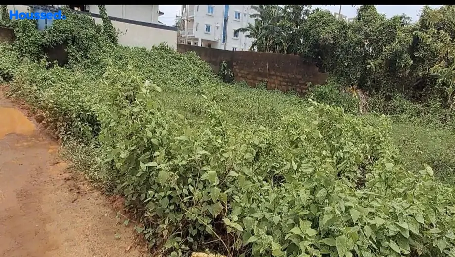Project Image of Housing Plot/Residential Land for Resale in Raghunathpur - Image 186096
