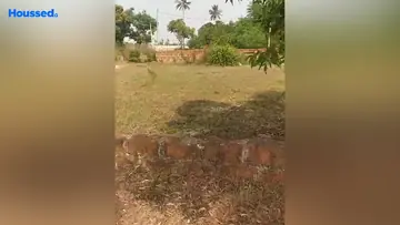Project Image of Housing Plot/Residential Land for Resale in Chandaka, Bhubaneswar - Image 186744