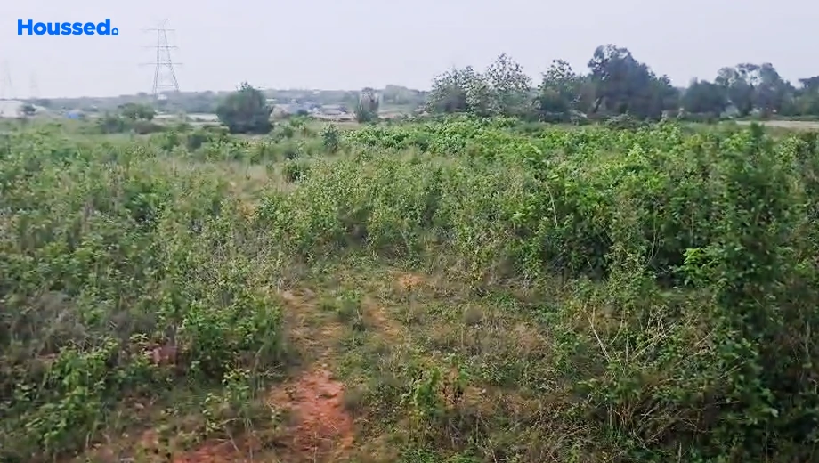 Project Image of Housing Plot/Residential Land for Resale in Sundarpur - Image 187156