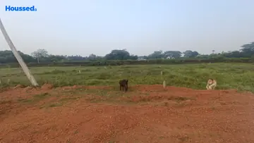 Project Image of Housing Plot/Residential Land for Resale in Nayapalli, Bhubaneswar - Image 187310