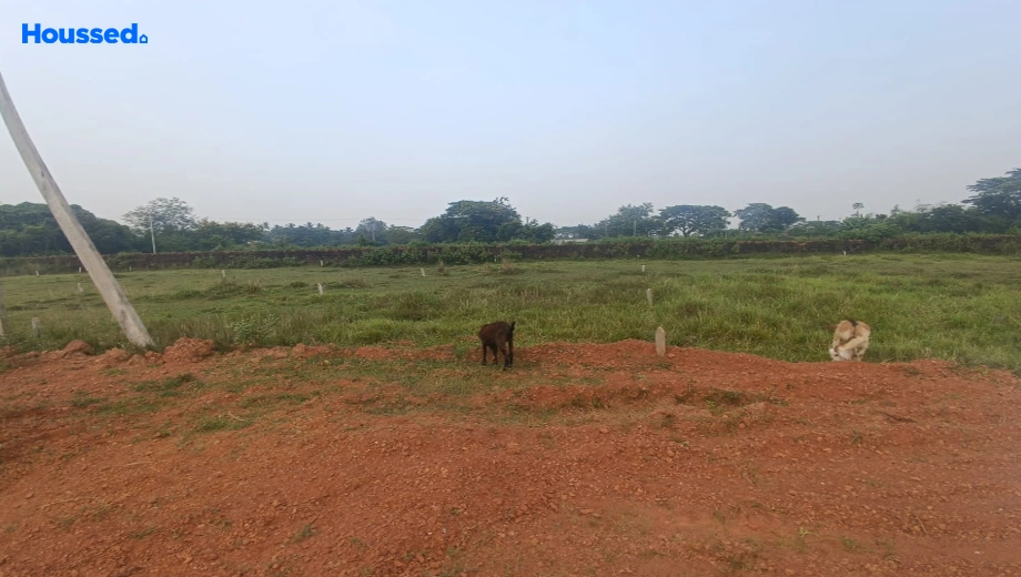 Project Image of Housing Plot/Residential Land for Resale in Nayapalli - Image 187310