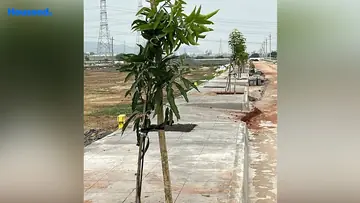 Project Image of Housing Plot/Residential Land for Resale in SRK Sree City Vaibhav Pathapadu, Vijayawada - Image 193215