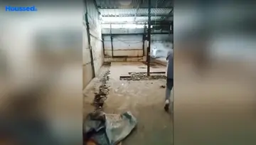 Amenities of Commercial Warehouse for Rent in Jogeshwari West, Mumbai - Image 15717