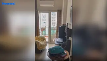 Sample Apartment of 3 BHK Flat for Rent in Panchsheel Pratishtha Sector 75, Noida - Image 17049