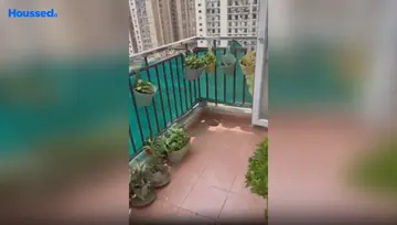 Sample Apartment of 3 BHK Flat for Rent in Panchsheel Pratishtha Sector 75, Noida - Image 17053