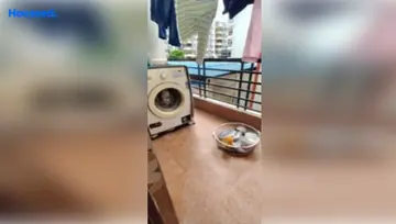 Sample Apartment of 3 BHK Flat for Resale in Kondapur, Hyderabad - Image 18162