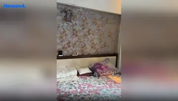Project Image of 3 BHK Flat for Rent in Vesu, Surat - Image 24066