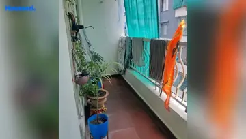 Project Image of 2 BHK Flat for Resale in Kolar Road, Bhopal - Image 24384