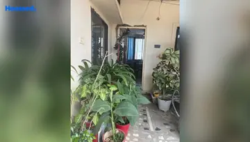 Project Image of 1 BHK Flat for Rent in Arera Colony, Bhopal - Image 24413