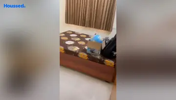 Sample Apartment of 3 BHK Flat for Rent in Zundal, Ahmedabad - Image 29104