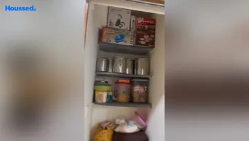 Sample Apartment of 3 BHK Flat for Rent in Zundal, Ahmedabad - Image 29106