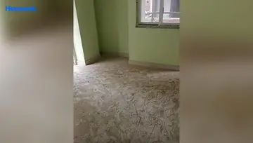 Project Image of 3 BHK Flat for Resale in Sita Dular Enclave Digha Nahar Road, Patna - Image 32599