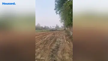 Project Image of Housing Plot/Residential Land for Resale in Bihta, Patna - Image 33875