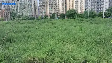 Project Image of Housing Plot/Residential Land for Resale in Sector 37C, Gurgaon - Image 36414