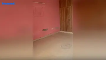 Project Image of 2 BHK Flat for Rent in Sector 116, Noida - Image 36587