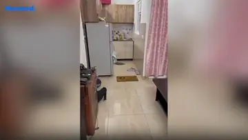 Project Image of 1 BHK Flat for Resale in Gaur City 2 14th Avenue Sector 16 B, Greater Noida - Image 37437