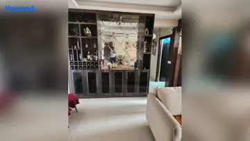 Project Image of 2 BHK Flat for Rent in Uppal Casa Woodstock Sector 16 B, Greater Noida - Image 37467