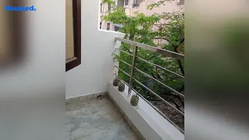 Project Image of 1 BHK Flat for Rent in Saket, New Delhi - Image 38124