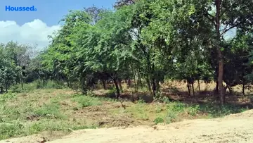 Project Image of Housing Plot/Residential Land for Resale in Sector 37D, Gurgaon - Image 39420