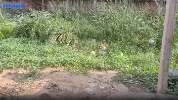 Project Image of Housing Plot/Residential Land for Resale in Bailey Road, Patna - Image 45329