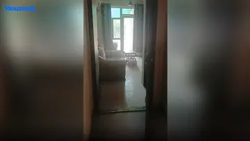Project Image of 2 BHK Flat for Rent in Gaur City 5th Avenue Chi 4, Greater Noida - Image 47162