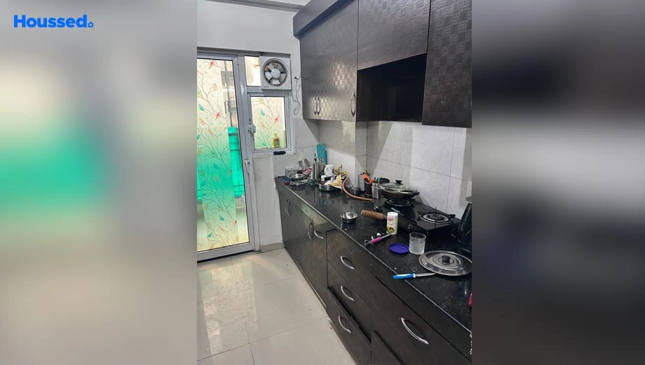 Project Image of 2 BHK Furnished Flat for Rent in Sector 16 C - Image 47626