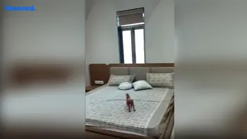 Project Image of 2 BHK Flat for Resale in Rameshwaram Keshav Heights Althan, Surat - Image 49329